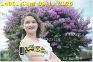 14651-Conf-08-11-2025