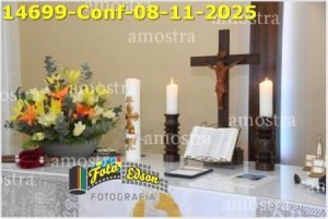 14699-Conf-08-11-2025