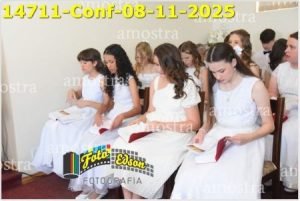 14711-Conf-08-11-2025