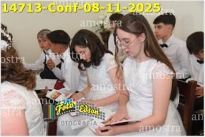 14713-Conf-08-11-2025