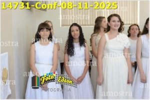 14731-Conf-08-11-2025