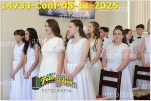 14733-Conf-08-11-2025