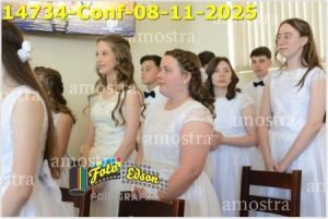 14734-Conf-08-11-2025