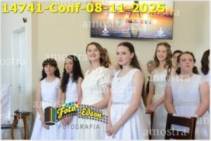 14741-Conf-08-11-2025