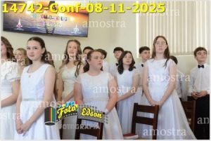 14742-Conf-08-11-2025