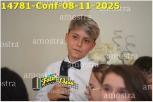 14781-Conf-08-11-2025