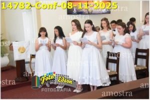 14782-Conf-08-11-2025