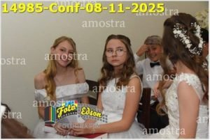 14985-Conf-08-11-2025