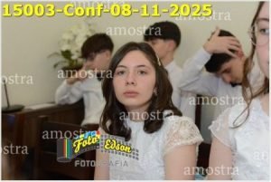 15003-Conf-08-11-2025