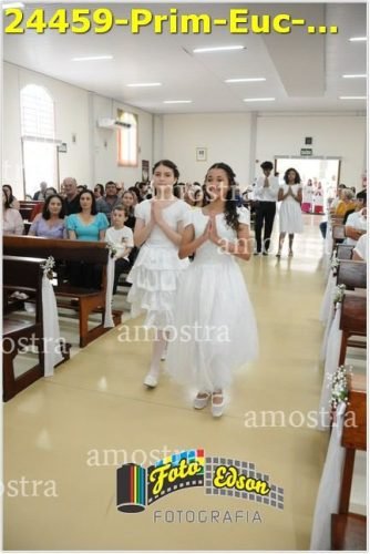 24459-Prim-Euc-NSAp-23-11-2025