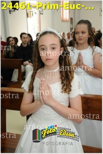 24461-Prim-Euc-NSAp-23-11-2025