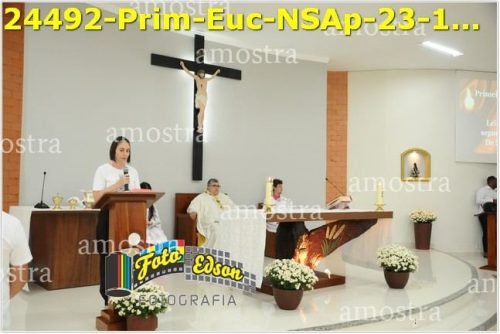 24492-Prim-Euc-NSAp-23-11-2025