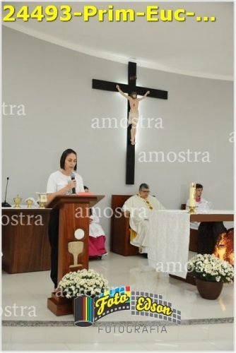 24493-Prim-Euc-NSAp-23-11-2025