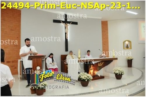 24494-Prim-Euc-NSAp-23-11-2025