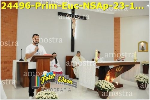 24496-Prim-Euc-NSAp-23-11-2025