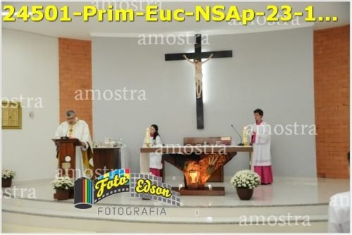 24501-Prim-Euc-NSAp-23-11-2025