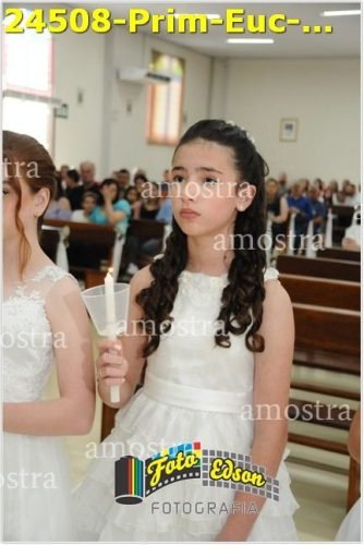 24508-Prim-Euc-NSAp-23-11-2025