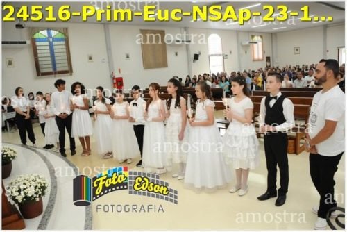 24516-Prim-Euc-NSAp-23-11-2025