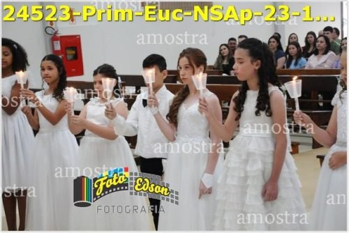 24523-Prim-Euc-NSAp-23-11-2025