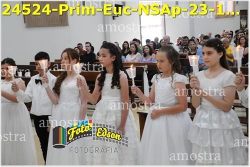 24524-Prim-Euc-NSAp-23-11-2025