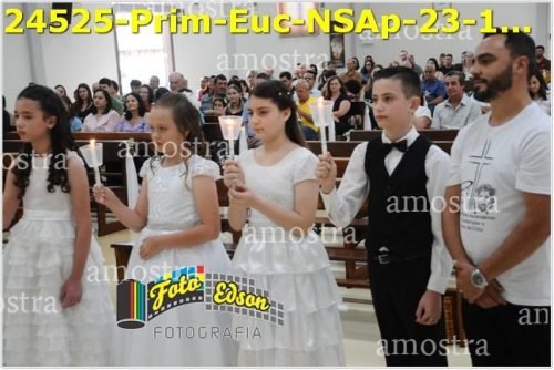 24525-Prim-Euc-NSAp-23-11-2025