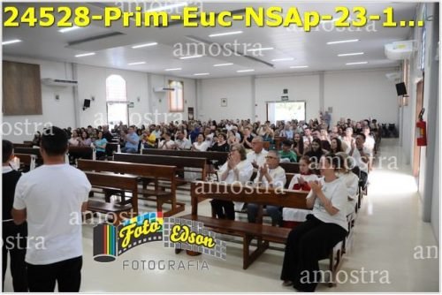 24528-Prim-Euc-NSAp-23-11-2025