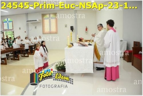 24545-Prim-Euc-NSAp-23-11-2025