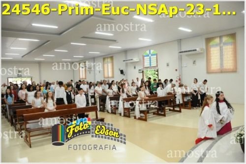 24546-Prim-Euc-NSAp-23-11-2025