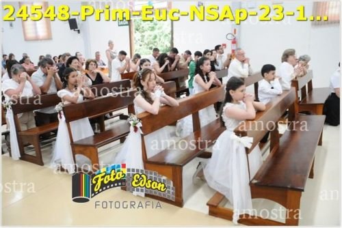 24548-Prim-Euc-NSAp-23-11-2025