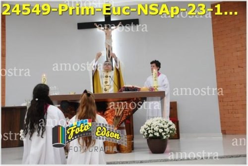 24549-Prim-Euc-NSAp-23-11-2025