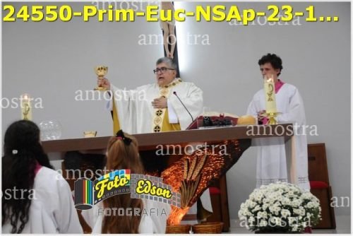 24550-Prim-Euc-NSAp-23-11-2025