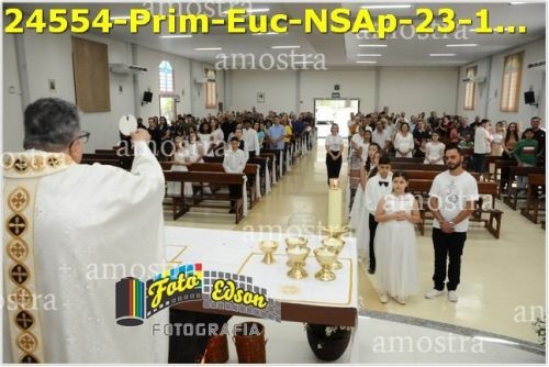 24554-Prim-Euc-NSAp-23-11-2025