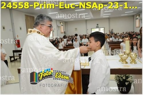 24558-Prim-Euc-NSAp-23-11-2025