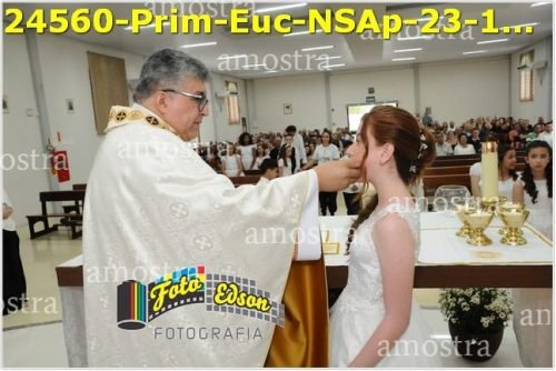 24560-Prim-Euc-NSAp-23-11-2025