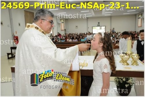 24569-Prim-Euc-NSAp-23-11-2025