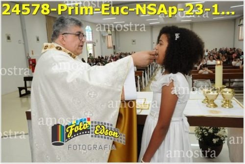 24578-Prim-Euc-NSAp-23-11-2025