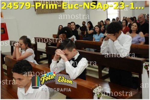 24579-Prim-Euc-NSAp-23-11-2025