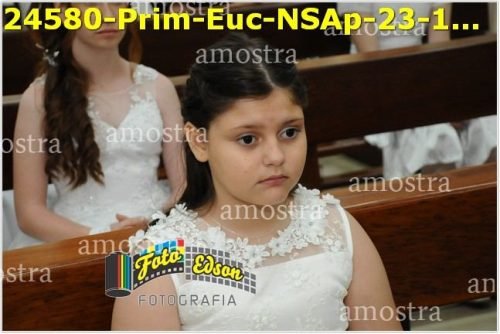 24580-Prim-Euc-NSAp-23-11-2025