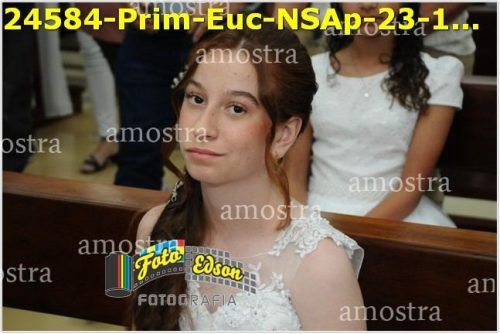 24584-Prim-Euc-NSAp-23-11-2025