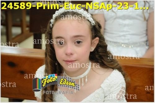24589-Prim-Euc-NSAp-23-11-2025