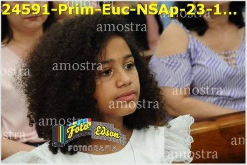 24591-Prim-Euc-NSAp-23-11-2025