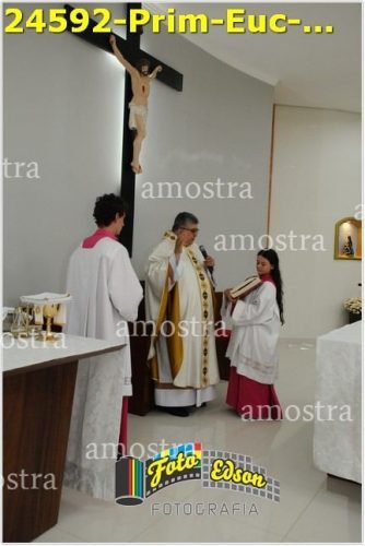 24592-Prim-Euc-NSAp-23-11-2025