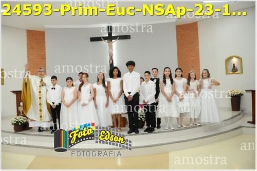 24593-Prim-Euc-NSAp-23-11-2025