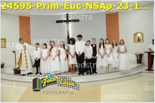 24595-Prim-Euc-NSAp-23-11-2025