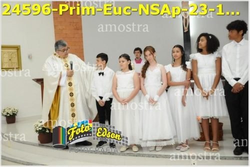 24596-Prim-Euc-NSAp-23-11-2025