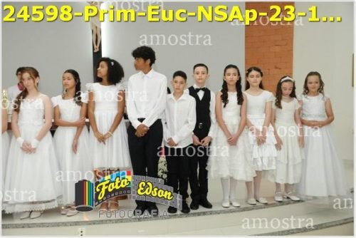 24598-Prim-Euc-NSAp-23-11-2025