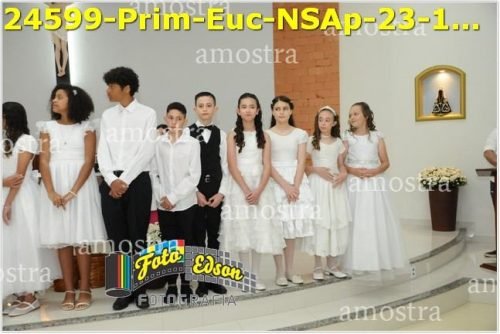 24599-Prim-Euc-NSAp-23-11-2025