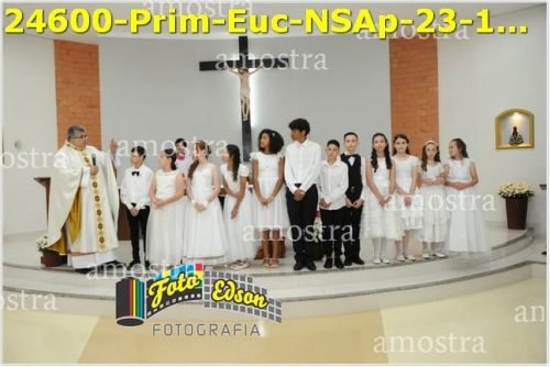 24600-Prim-Euc-NSAp-23-11-2025