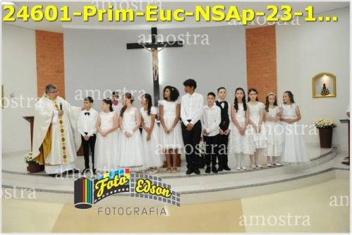 24601-Prim-Euc-NSAp-23-11-2025
