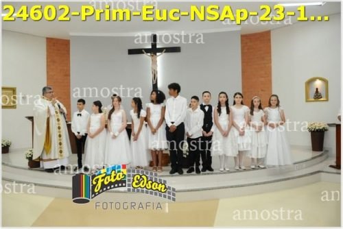 24602-Prim-Euc-NSAp-23-11-2025